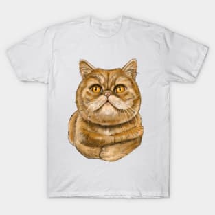 Exotic Shorthair cat T-Shirt